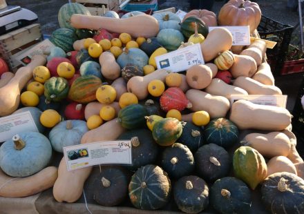 Der Wintermarkt